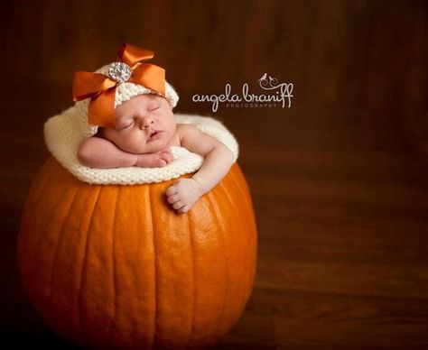 Photo ops Pumpkin Idea, Photo Bb, Halloween Pics, Baby Olivia, Thanksgiving Time, Fall Shoot, October Baby, Anne Geddes