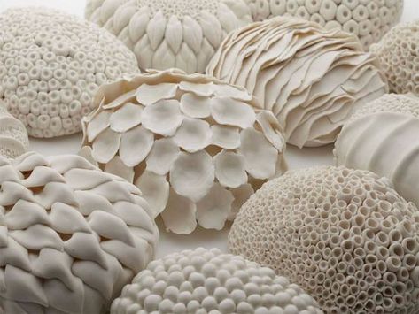 Irish ceramic artist Laura McNamara.: Cell Forms, Organic Ceramics, Ceramic Texture, Sculptures Céramiques, Ceramic Techniques, Porcelain Jewelry, Porcelain Clay, Sgraffito, Ceramic Lamp