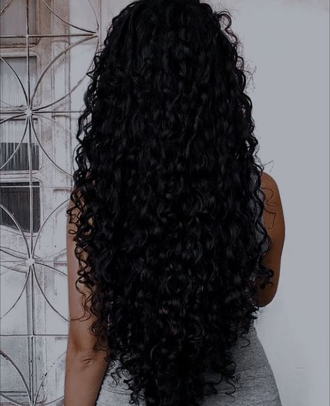 Classic Curly Hairstyles, Shiny Curly Hair, Long Curly Black Hair, 2024 Hair Trends For Women, The Wet Look, Healthy Curly Hair, Long Natural Curly Hair, 2024 Hair Trends, 3b Hair