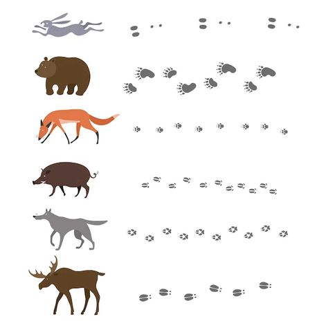 Kids Worksheets, Kids Worksheets Preschool, Worksheets Preschool, Wild Boar, A Wolf, Forest Animals, Premium Vector, Elk, Preschool