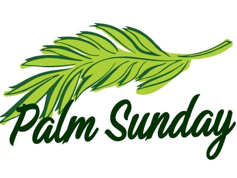 Palm Sunday Greeting 2024 Palm Sunday Images Quotes, Palm Sunday Greetings, Plam Sunday Pic, Palm Sunday Pic, Palm Sunday Quotes Jesus, Palm Sunday Images, Palm Sunday Infographic, Palm Sunday Quotes, Happy Palm Sunday