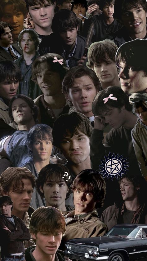 #samwinchester #supernatural Supernatural Home Screen, Serving Cvnt, Supernatural Dr, Supernatural Wallpaper, Tv Supernatural, Supernatural Seasons, Sam Winchester, Jared Padalecki, Autumn Aesthetic