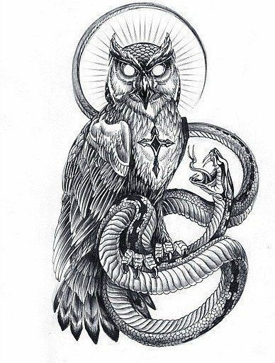 Barn Owl Tattoo, Owl Tat, Owl Tattoo Drawings, Owl Sketch, Tattoo Catalog, Chicano Style Tattoo, Dot Tattoos, Men Tattoos Arm Sleeve, Western Tattoos