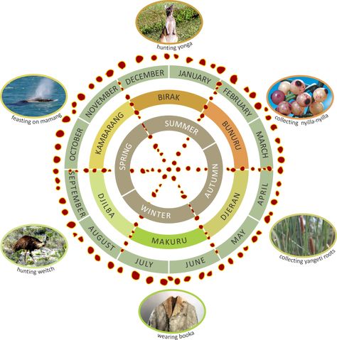 Nyungar Boodjar Seasonal Calendar (WA) Noongar Art, Seasons Activities For Kids, Noongar Seasons, Naidoc Activities, Indigenous Activities, Naidoc Week Activities, Indigenous Australia, Aboriginal Dreamtime, Seasonal Calendar