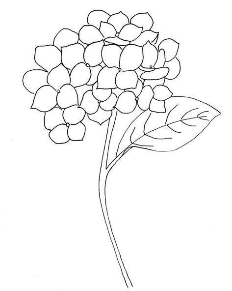 hydrangea-pattern Hand Drawn Hydrangeas, Hydrangea Line Art, Hydrangea Embroidery Pattern, Hydrangea Outline, Hydrangea Drawing, Free Motion Embroidery Applique, Hydrangea Tattoo, Hydrangea Pattern, Hydrangeas Art