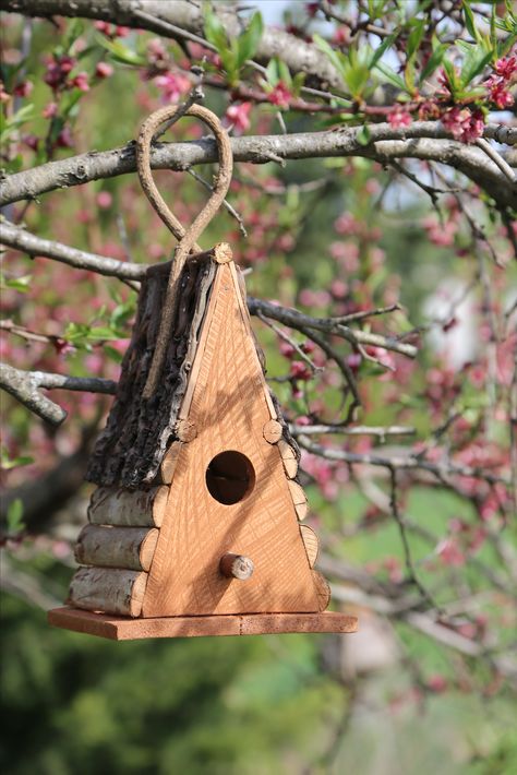 Cool Birdhouse Designs, Bird House Feeder Birdhouse Designs, Birdhouse Diy Ideas, Diy Bird House Easy, Home Made Bird Houses, A Frame Birdhouse, Birdhouse Designs Diy, Fun Bird Houses, Cool Birdhouses