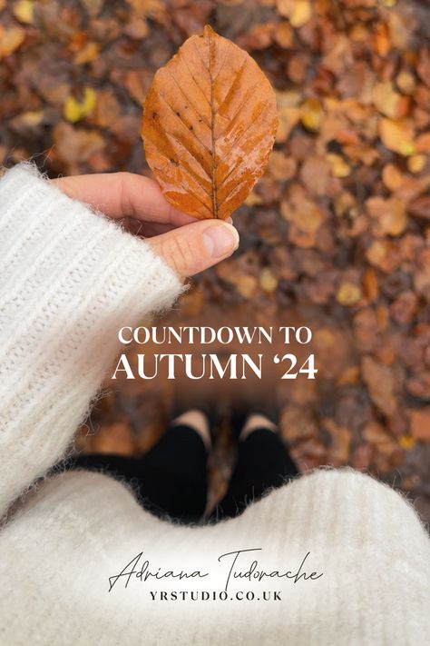 Autumn & Halloween 2024 Countdown & Guide | YR studio | YR Studio Autumn Movies Aesthetic, Autumn Aesthetic Photography, 2024 Countdown, Autumn Reads, Pumpkins Spice, The Fall Movie, Autumn And Halloween, Ber Months, Ready For Autumn