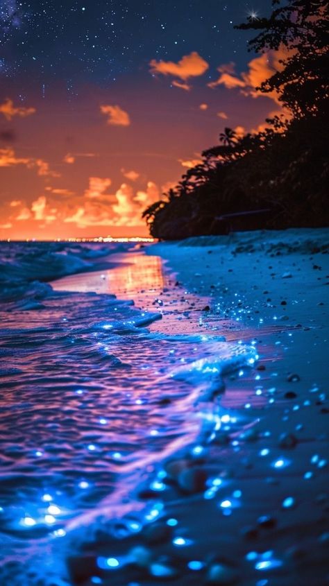 Beach Pics At Night, Peace Pics, Beach At Night Aesthetic, Island At Night, Glowing Beach, Outdoor Wallpaper, Glowing Ocean, Glowing Water, Forever Wallpaper