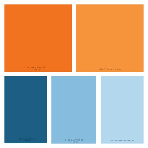 A complementary color scheme in varying degrees of blues and oranges. Blues And Orange Color Palette, Blue Orange Kitchen Ideas, Color Palette Blues And Oranges, Complementary Colors To Orange, Orange Complementary Colors, Interior Design Orange And Blue, Blue Orange Black White Color Palette, Blue Orange Living Room Color Scheme, Orange And Blue Room Decor