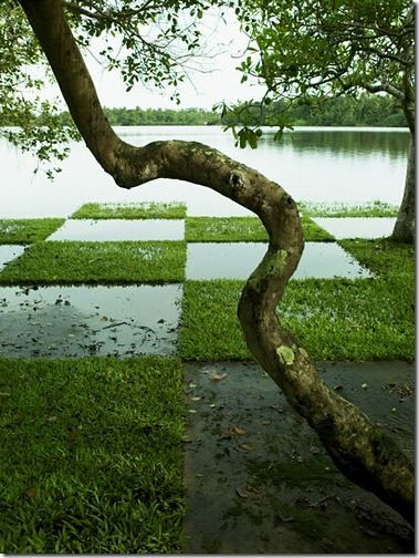 "Lunuganga" garden, Sri Lanka; Geoffrey Bawa architect Garden Of Cosmic Speculation, Geoffrey Bawa, Areas Verdes, Green Space, On The Ground, The Grass, Water Garden, Dream Garden, Garden Bridge