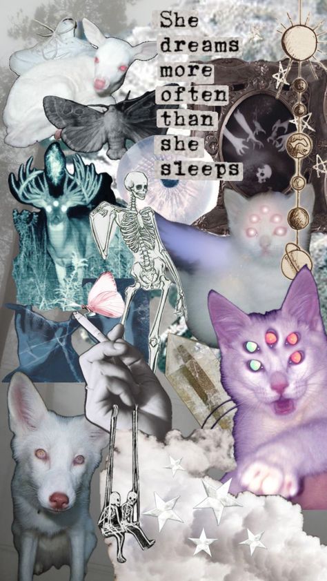 Created by 23delayniedehart on Shuffles Starflesh Wallpaper, Starflesh Core, What's My Aesthetic, Psychadelic Art, Vulture Culture, Goofy Pictures, Collage Background, Pretty Animals, + Core + Aesthetic