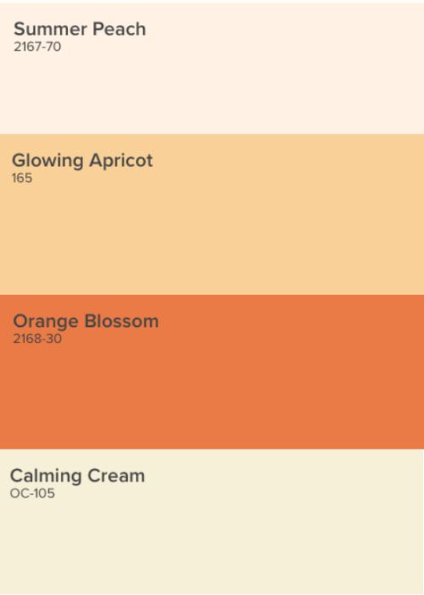 White Peach Color Palette, Orange Blossom Color Palette, Pastel Orange Wall Paint, Muted Peach Color Palette, Orange And Cream Color Palette, Apricot Crush Color Palette, Apricot Colour Palette, Apricot Wall Color, Shades Of Peach Colour Palettes