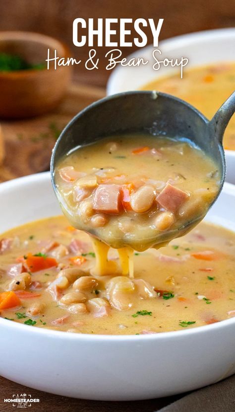 Cheesy Ham and Bean Soup is a delicious blend of onions, carrots, Great Northern beans, and diced ham, all finished with melted cheddar cheese. I love this soup for a cozy dinner or a filling lunch! Ham Bean Soup, Ham Soup Recipes, Ham Bone Soup, Ham And Bean, Winter Lunch, Ham And Potato Soup, Cheesy Ham, Ww Freestyle, Filling Lunch