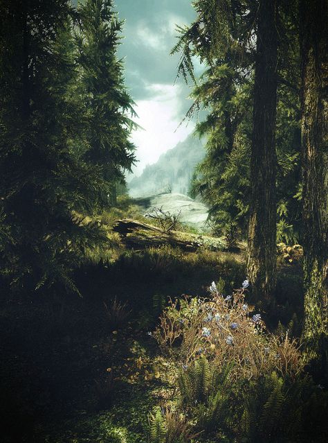 Shieldmaiden Aesthetic, Nord Aesthetic Skyrim, Skyrim Hd Wallpaper, Skyrim Landscape, Skyrim Scenery Landscapes, Skyrim Landscape Art, Skyrim Locations, Skyrim Wallpaper, Skyrim Game