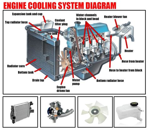 Engine Cooling System Diagram | Car Anatomy in Diagram Car Cooling System, Car Anatomy, Car Diagram, Traction Motor, Car Facts, Electrical Diagram, Automotive Engineering, Cheap Car Insurance, Engine Block