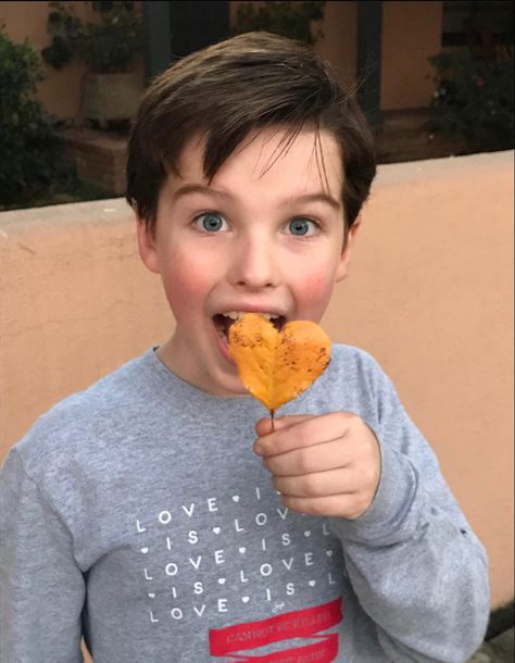 Lain Armitage, The Stark Family, Young Sheldon Cast, Raegan Revord, Iain Armitage, Koury Sisters, Shawn Mendes Songs, The Big Band Theory, Stark Family