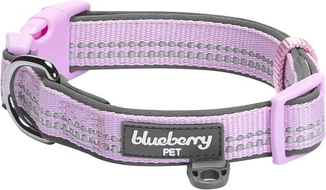 Amazon.com : Blueberry Pet Soft & Safe 3M Reflective Neoprene Padded Adjustable Dog Collar - Mint Blue Pastel Color, Medium, Neck 14.5"-20" : Pet Supplies Baby Orange, 3m Reflective, Blue Pastel, Baby Blue Colour, Mint Blue, Dog Neck, Dog Leash, Pastel Colors, Dog Collar