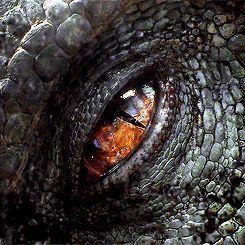 # Indominus Rex Eye Jurassic World Jurassic Movies, Regard Animal, Jurrasic Park, Indominus Rex, Margaery Tyrell, Jurassic World Dinosaurs, Gra O Tron, Cersei Lannister, Falling Kingdoms