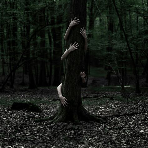 Image about dark in landscape by Luverne Luiz Shooting Pose, Halloween Fotos, Creepy Photography, Horror Photography, Arte Occulta, Halloween Photography, Halloween Photoshoot, Forest Photography, Halloween Photos