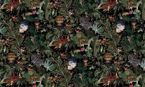 Menagerie of Extinct Animals | Moooi Wallcovering Extinct Animals | Collections | Arte wallcovering Arte Wallcovering, Jungle Mural, Jungle Scene, Vibrant Wall Art, Extinct Animals, Landscape Features, Botanical Wallpaper, Coffee Shop Decor, Woven Paper