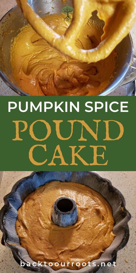 This pumpkin spice poundcake has a delicious cinnamon cream cheese frosting. It's great for dessert or breakfast. And it's especially good for a mid-afternoon snack with a cup of something hot. Do yourself a favor and make one today. Spice Pound Cake, Pumpkin Pound Cake, Homesteading Tips, Scratch Cooking, Future Chef, Modern Homestead, Cinnamon Cream Cheese, Modern Homesteading, Homemade Vanilla Extract