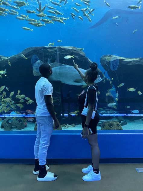 Aquarium Date Black Couple, Black Couple Swimming, Florida Baecation, Aquarium Aesthetic Couple, Baecation Aesthetic, Baecation Black Couples, Jeans Nails, Aquarium Date, Fish Ideas