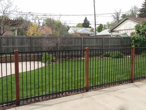 Dog Fencing Ideas, Craftsman Front Yard, Carport Fence, Outside Spa, Front Yard Fences, Aluminum Fence Ideas, Fence Paint Colours, Fence Around Pool, Pool Fence Ideas