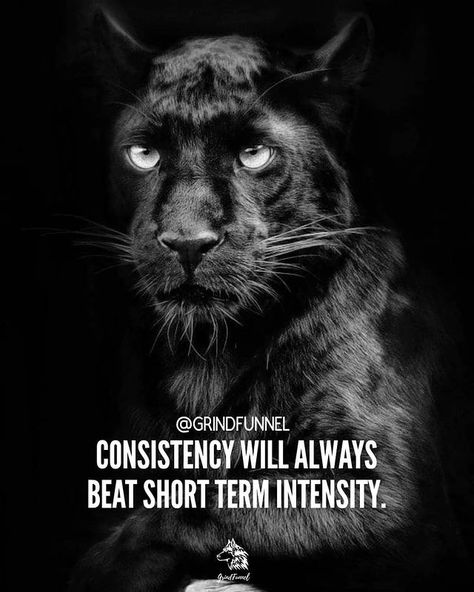 GRINDFUNNEL™| BUSINESS | QUOTE on Instagram: "Stay consistent 👊🏽🐺 Love our content? Become a part of this community. Follow ➡️ @grindfunnel @grindfunnel ⬅️ Follow ➡️ @grindfunnel…" Black Panther Theme, Panther Quotes, Motivational Quotes Poster, Digital Art Programs, Quotes Poster, Motivational Quote Posters, Black And White Decor, Star Images, Art Prints Quotes