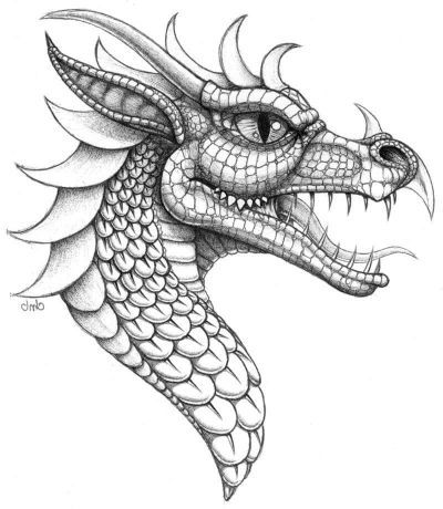 Dragon Deviantart, Dragon Head Drawing, Drawings Of, Rosa China, Easy Dragon Drawings, Chinese Drawing, Chinese Drawings, Dragon Chino, Art Dragon