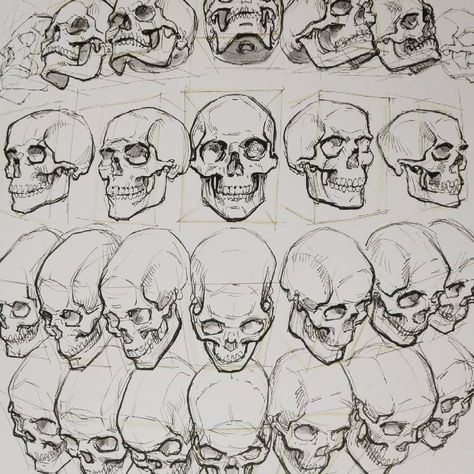 Kleinberger Thomas on Instagram: “For Headdrawing I find a basic understanding of the skull important. I start with a simple basic form after Gottfried Bammes (He has got…” Skull Facing Up, Skull Drawing Practice, Skull Looking Up Reference, Human Form Sketches, Skull Study Drawing, How To Draw Skull, Skull Perspective, Skull Reference Drawing, How To Draw A Skull