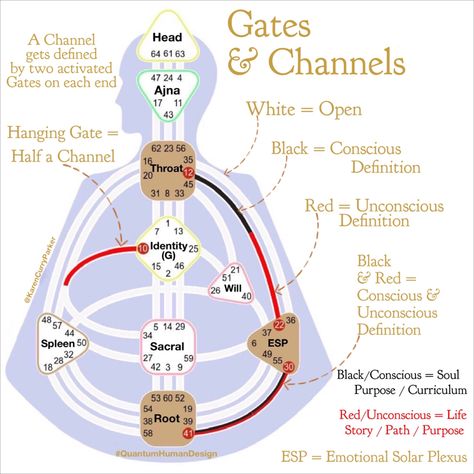 We are often attracted to partners who have the Gates that "bridge" our Defined splits. ⁠⁠
⁠⁠
When we are with that person, we feel "whole" or that all the parts of ourselves are unified, which is indeed what happens, at least energetically.⁠⁠
⁠⁠
Karen Curry Parker⁠⁠
understandinghumandesign.com⁠⁠ Human Design Gates, Human Design Chart, Human Design System, Human Design, Solar Plexus, True Life, Design System, Education Quotes, Life Purpose