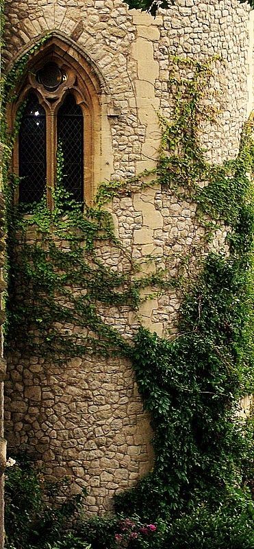 Castle tower window Tower Balcony, Tangled Aesthetic, Castle Window, Castle Tower, Beautiful Windows, Concept Board, Tower Of London, Old Stone, Old Building