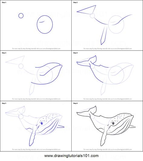 How to Draw Humpback Whale from Fantasia printable step by step drawing sheet : DrawingTutorials101.com Whale Tutorial Drawing, How To Draw Humpback Whale, How To Draw Whales Step By Step, How To Draw Sea Turtle Step By Step, How To Paint A Whale Step By Step, How To Draw A Stingray Step By Step, Whale Drawing Reference, How To Draw Sea Creatures Step By Step, How To Draw Whale