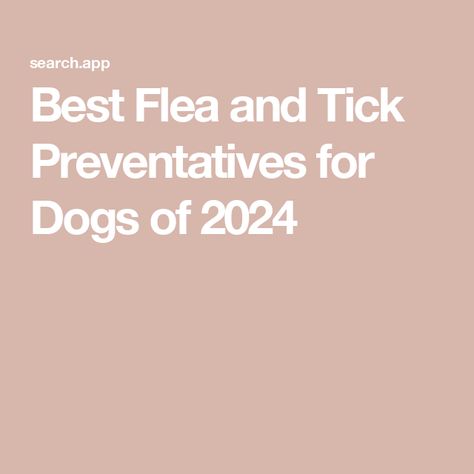 Best Flea and Tick Preventatives for Dogs of 2024 Types Of Ticks, Flea And Tick Spray, Tick Spray, Best Home Security System, Ticks On Dogs, Tick Prevention, Best Home Security, Cat Treat Recipes, Treat Recipes