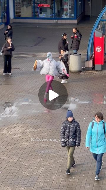 Concrete Chickens on Instagram: "Today is a good day🌤️ #dance #funny #funnyvideos #funnyvideo #funnyreels #pigeon #streetdancer #trend #streetart #performance #performer #concretechickens" Pigeon With Barbie Legs Dancing, Pigeon With Legs Dancing, Chicken Dance Video Funny, Concrete Chickens, Dancing Chicken, Dancing Memes Funny Hilarious, Dance Memes Funny Hilarious, Dance Funny, Chicken Dance