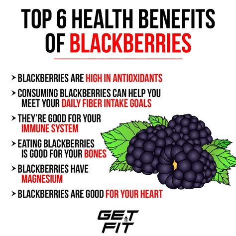 The benefits of blackberries Blackberries Benefits, Berries Benefits, Blackberry Health Benefits, Blackberry Trellis, Blackberry Benefits, Health Fruits, Fruits Benefits, Benefits Of Berries, Health Infographics