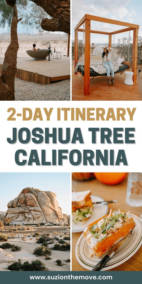 Planning a weekend trip to Joshua Tree? This itinerary covers the best hikes, viewpoints, and things to do for a perfect 2-day adventure. — joshua tree national park | joshua tree aesthetic | joshua tree itinerary | joshua tree places to stay | best places to eat in joshua tree Pappy And Harriets Joshua Tree, Joshua Tree Aesthetic, Joshua Tree Hikes, Unique Airbnb, Joshua Tree Park, National Park Itinerary, Tree Aesthetic, Arizona Adventure, Joshua Tree California