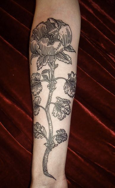 Botanisches Tattoo, Woodcut Tattoo, Muster Tattoos, Estilo Real, Botanical Tattoo, Great Tattoos, Pattern Tattoo, Skin Art, Love Tattoos