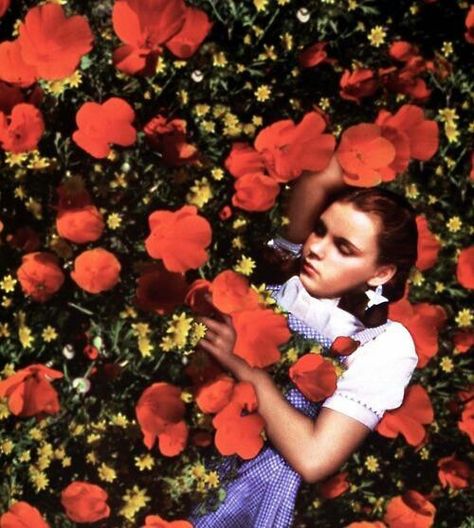 Dorothy sleeping in the poppies. Noa would freak to have this! Cinema Scenes, Wizard Of Oz 1939, Dorothy Gale, Septième Art, Mazzy Star, Land Of Oz, The Wonderful Wizard Of Oz, Judy Garland, Over The Rainbow