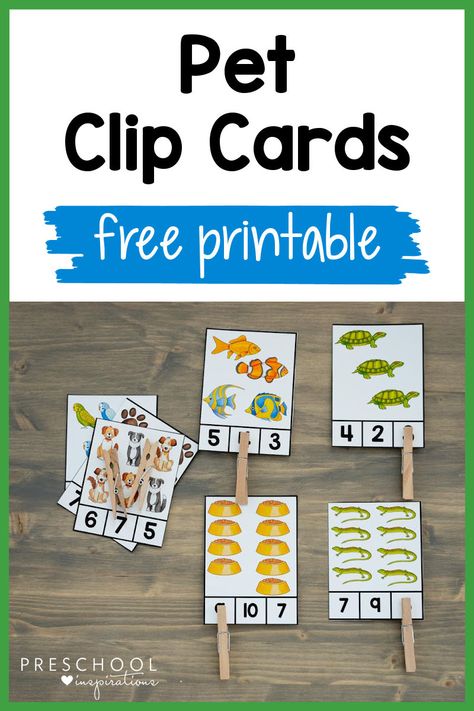 Pet Fine Motor Activities For Preschool, Preschool Pets Unit, Preschool Pet Activities, July Themes, Preschool Inspirations, Pet Study, Pet Activities, Creative Curriculum Preschool, 2023 School