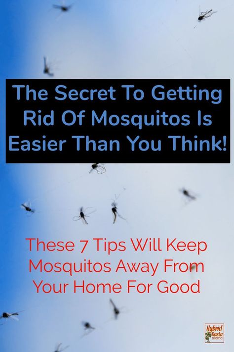 Mosquitoes Remedies, Mosquito Repellent Homemade, Diy Mosquito Repellent, Pineapple Health Benefits, Natural Mosquito Repellant, Home Remedy For Cough, Natural Pest Control, Natural Cold Remedies, Bug Repellent