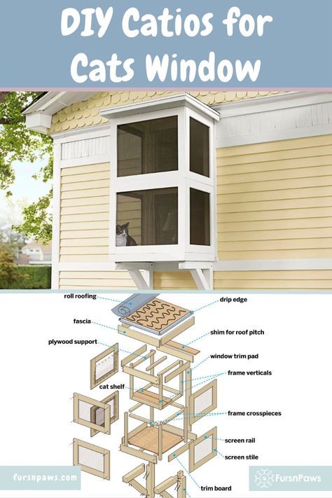 Turn $490 and some woodworking skills into a cozy catios for cats window with this guide. A two-day outdoor projects that offers a lookout window and easy house access for your cat. A perfect elevated outdoor cat enclosure. #outsidecatenclosure #outdoorcatenclosure #catio #cats #catlovers #catiosforcatswindow Outside Cat Enclosure Diy Window, Diy Catios For Cats, Catios For Cats Window, Dark Home Aesthetic, Diy Cat House, Outside Cat Enclosure, Diy Cat Enclosure, Catio Ideas, Outside Cat House