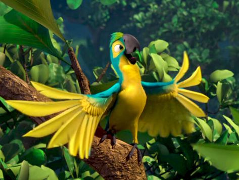 Rio Movie, Blue Gold Macaw, Blue Sky Studios, Rio 2, Animated Animals, Animation Movie, Disney Aesthetic, Bird Drawings, Cartoon Shows