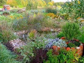 Beautiful Allotments, Permaculture Allotment, Buying Land, Food Growing, Rich Food, Dig Gardens, Allotment Gardening, Garden Insects, Permaculture Gardening