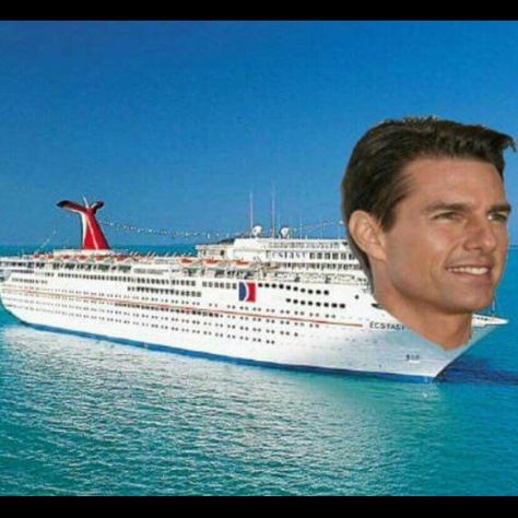 Tom Cruise get it Tom Cruise Meme, Celebrity Name Puns, Celebrity Puns, Tom Cruz, Funny Celebrity Pics, Tom Cruise Movies, Punny Puns, Celebrity Names, Tom Cruise