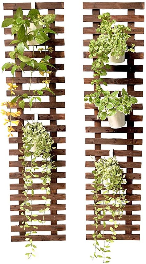 Amazon.com: ShopLaLa Wall Plant Holder - Hanging planters for Indoor and Outdoor: Kitchen & Dining Wall Planters Outdoor Hanging Plants, Wall Mounted Flower Pots Outdoor, Outdoor Shelves For Plants, Wall Flower Holder, Plant Shelving, Wall Mounted Plant Holder, Industrial Planter, Mums Garden, Shop Shelf