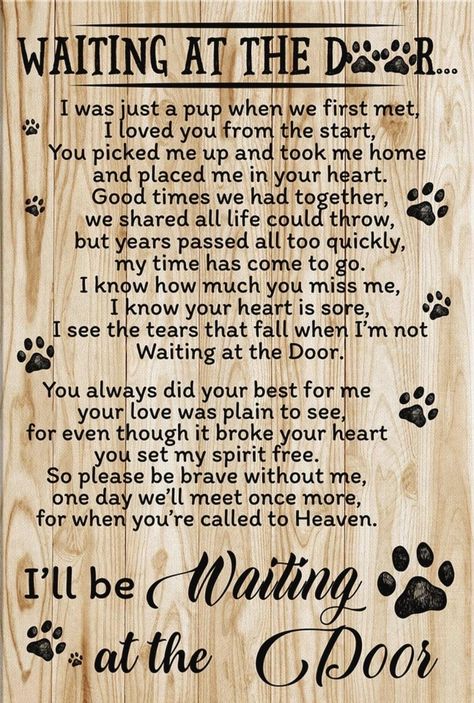 Christian Facts, I'll Be Waiting, Slow Roasted Italian, Paw Wallpaper, Dog Sayings, Pet Quotes, Dog Poems, Work Cafe, Pawprint Tattoo