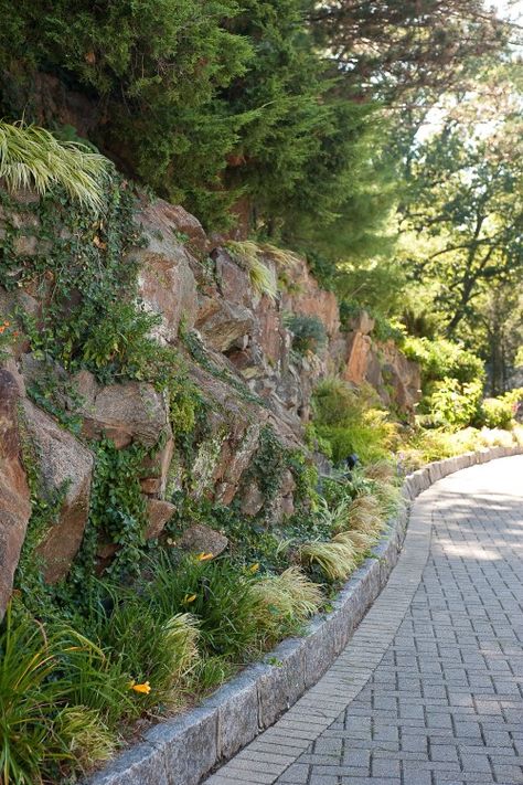 Natural Driveway, Hillside Driveway, Denmark House, Driveway Ideas, Rock Plants, Landscape Designs, Rock Wall, Garden Pathway, Garden Borders