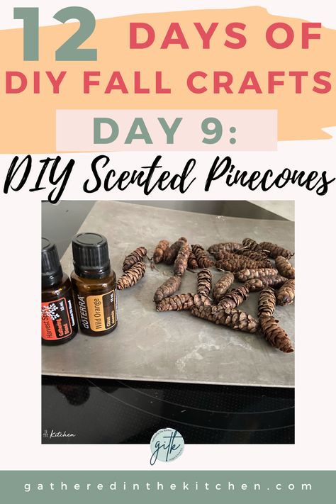 How to make scented pinecones | Gathered In The Kitchen Diy Scented Pinecones, Diy Fall Crafts, Farmhouse Signs Diy, Scented Pinecones, Easy Fall Wreaths, Diy Scent, Easy Wreaths, Lambs Ear Wreath, Wooden Pumpkins