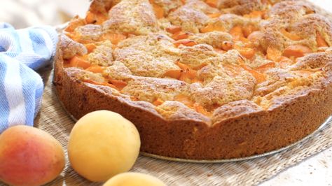 APRICOT & OLIVE OIL CAKE – Kylie Flavell Kylie Flavell, Mediterranean Sweets, Best Carrot Recipe, Best Moist Chocolate Cake, Yoghurt Cake, Almond Biscotti, Oil Cake, Decadent Chocolate Cake, Olive Oil Cake